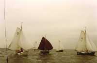 Bolkoppenrace 1995
